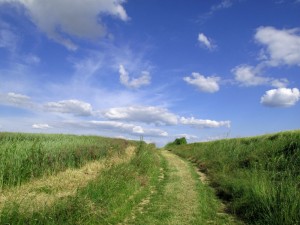 BG - Wine- Tour-/http://bicyclegourmet.com