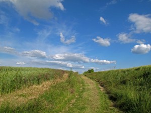 french country life travel memoirs