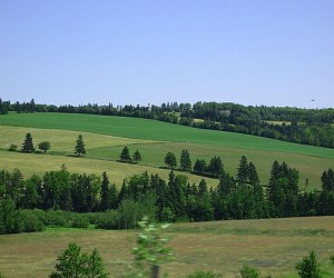 french-country-landscape