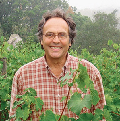  christopher strong - bicycle gourmet's organic wine